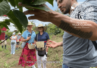 lugares para conocer en pereira