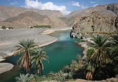 Hoggar Oasis