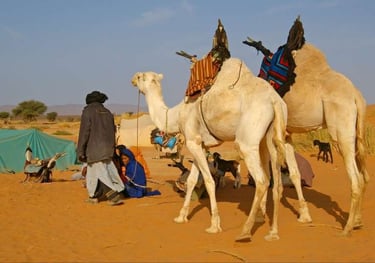 camel ride