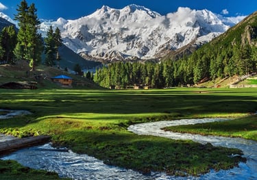 5 Days Fairy Meadows Tour