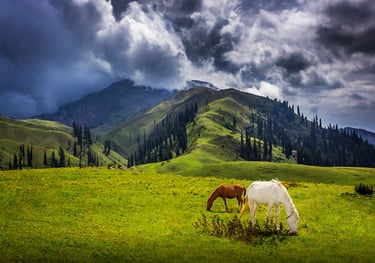 2 Days Shogran Valley Tour