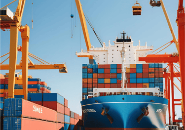 We are committed to securing the best FOB prices for you, delivering competitive rates without compr