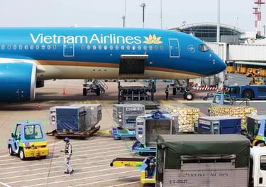 envios aereos de vietnam de carga