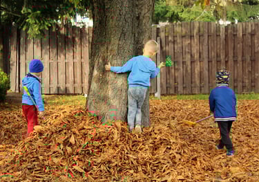 Zeytinburnu Mono Psikoloji 