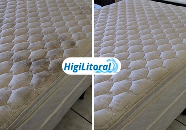 como tirar bolor do colchão matinhos