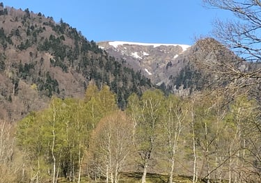 vallée de la Wormsa avec son cirque d'origine glaciaire, prairie verdoyante vallée escaprpée avec des pentes raides présence 