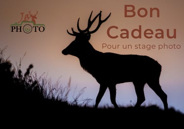 Bon cadeau