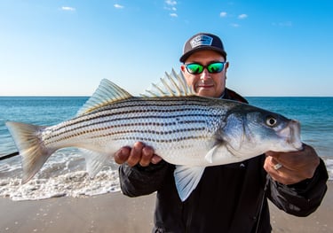 Surf Striped Bass on the fly