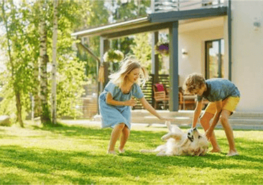 TLC Upstate Lawn & Pest Fire Ant Control