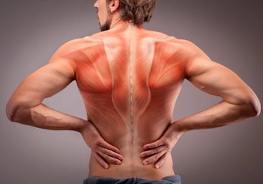 a man back workout at gym