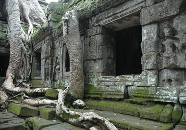 Ta Prohm, the Tomb Raider Temple, Angkor Wat, Siem Reap, Cambodia