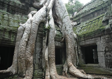 Ta Prohm, the Tomb Raider Temple, Angkor Wat, Siem Reap, Cambodia