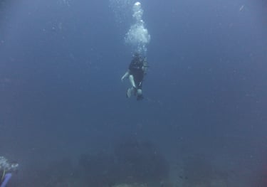 Diving on Havelock and Neil Islands, Andaman and Nicobar Islands