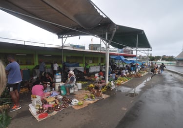 suva veg market, fiji