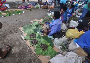 suva fish market, fiji