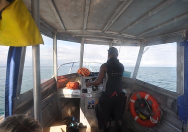 Beqa Shark dive, Aqua Trek dive center, Pacific Harbour, Fiji