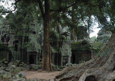 Ta Prohm, the Tomb Raider Temple, Angkor Wat, Siem Reap, Cambodia
