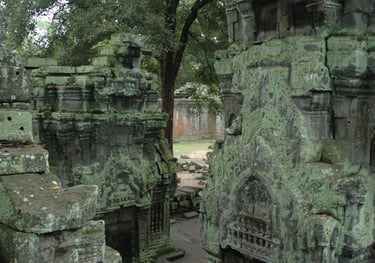Ta Prohm, the Tomb Raider Temple, Angkor Wat, Siem Reap, Cambodia