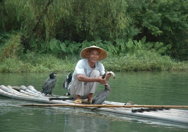 cormorant fisherman at the Yulonghe scenic area, near Yangshuo, China