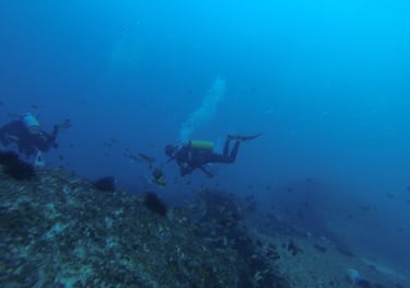 Tracey and Nick Billington diving at Tofo Beach, Praia Do Tofo, Mozambique