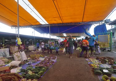 suva veg market, fiji