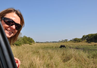 rino in the Isimangaliso wetland park, St Lucia, South Africa