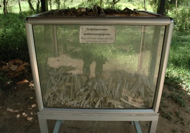 Human Skulls at the Choeung Ek Genocide Centre, Phnom Penh, Cambodia
