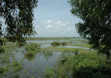  Choeung Ek Genocide Centre, Phnom Penh, Cambodia