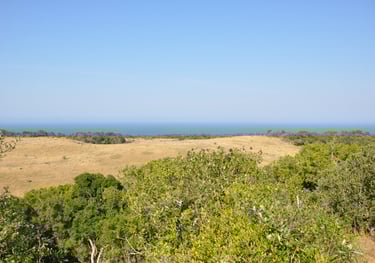 coastal view in the Isimangaliso wetland park, St Lucia, South Africa