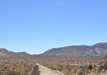 Joshua Tree National Park, USA