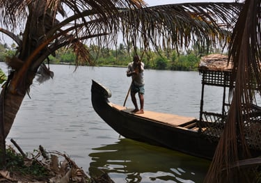 man punting a boat in boat in Kochi, Kerala, India