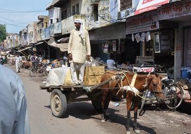 life in the streets of Agra, Uttar Pradesh, India