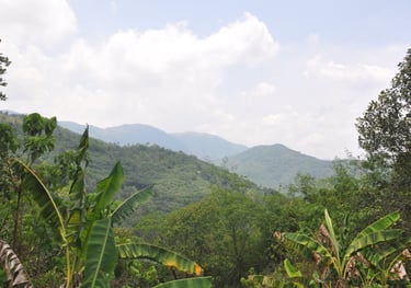 viewpoint in the mountains of Kerala, India 