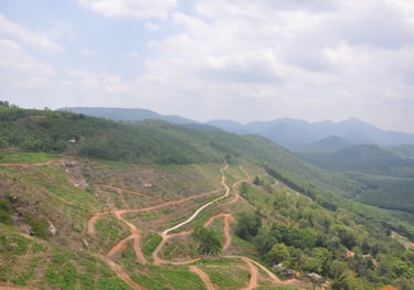 viewpoint in the mountains of Kerala, India 