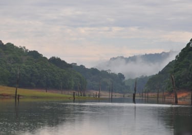 Periyar lake at the Periyar Tiger reserve, near Kumily , India