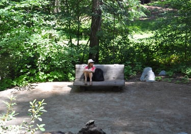 a woman sitting on a bench in a wooded area along General Sherman Tree trail, sequoia national park