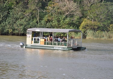 viewing pontoon near Hippos in the St Lucia Estuary, isimangaliso, South Africa
