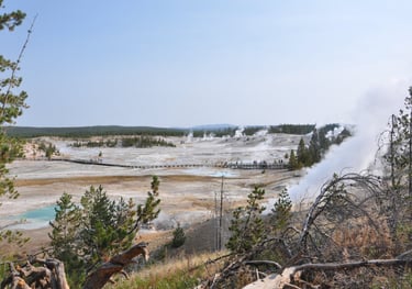 Yellowstone national park