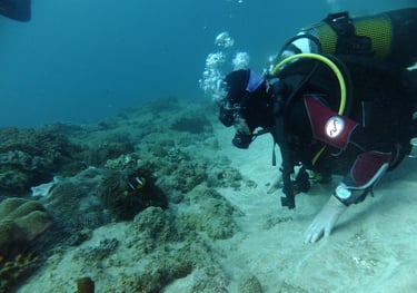 tracey billington diving, sodwana bay, South Africa