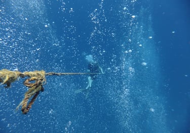 Diving on Havelock and Neil Islands, Andaman and Nicobar Islands