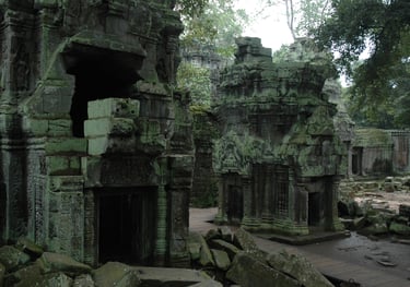 Ta Prohm, the Tomb Raider Temple, Angkor Wat, Siem Reap, Cambodia