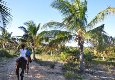 Nick and Tracey Billington Horse riding at Tofo Beach, Praia do Tofo, Mozambique