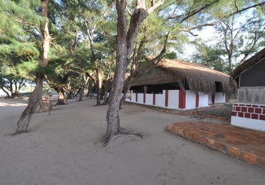 Our accommodation right on the beach at Tofo beach, Praia Do Tofo, Mozambique