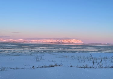 Olfusa river estuary, Iceland
