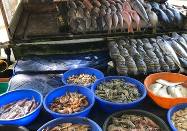 Fish stall, Kochi, Kerala, India