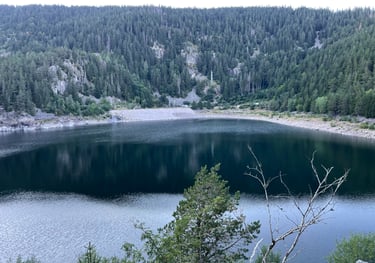 Reserve biologique des deux lacs, France