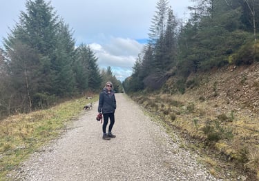 footpath through the woods on Moel Famau, wales