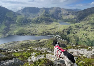 the path from the troll bridge up to the summit of Pen yr Ole Wen