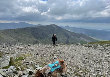 Tracey Billington reaching the top of the Carnedd mountains