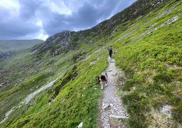 the footpath down from the top of the Carnedd mountains